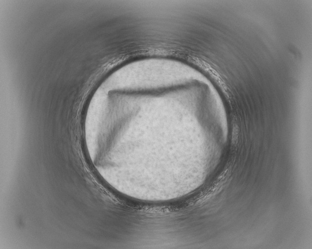 X0000115630673200912011441