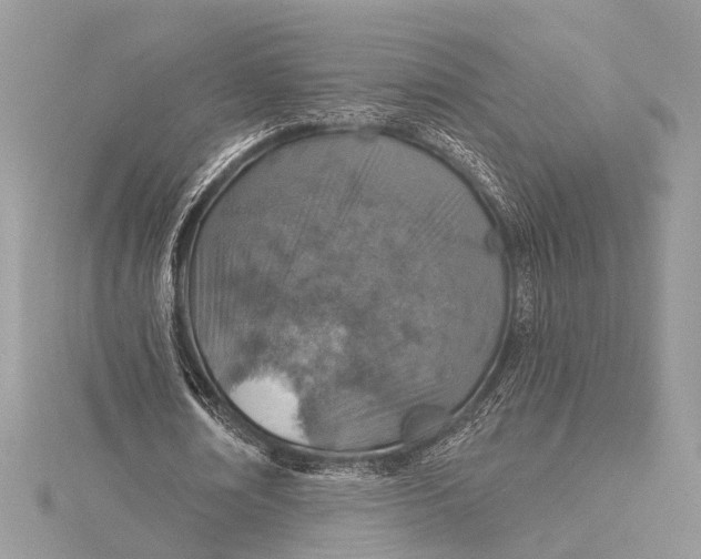 X0000115630674200912011441