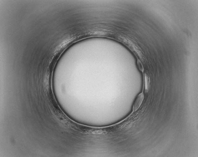 X0000115630675200912011441