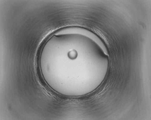 X0000115630676200912011441