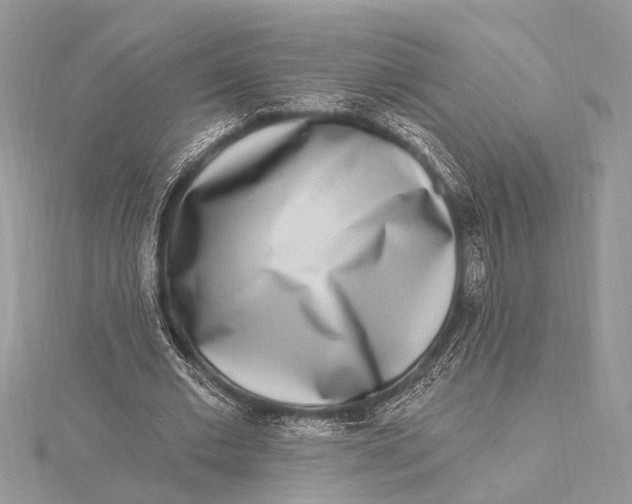 X0000115630677200912011441