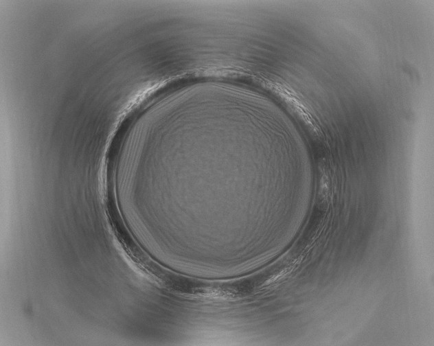 X0000115630678200912011441