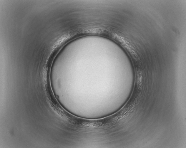 X0000115630679200912011441