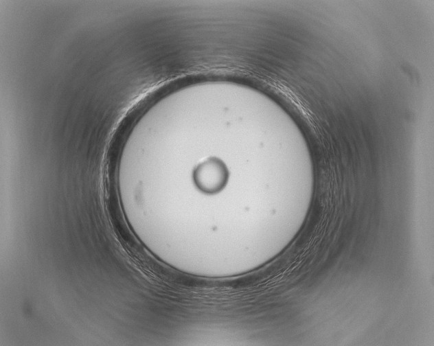 X0000115630680200912011441