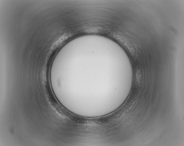 X0000115630682200912011441