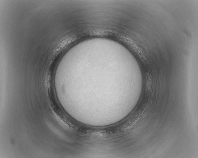 X0000115630683200912011441