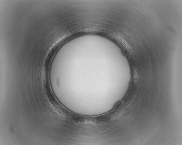 X0000115630684200912011441