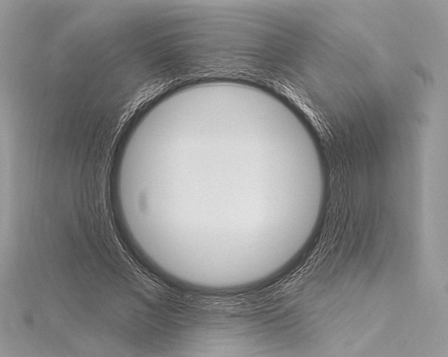 X0000115630685200912011441