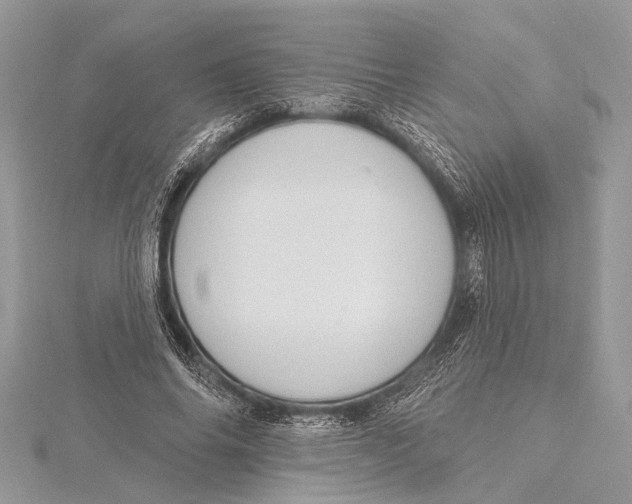 X0000115630686200912011441