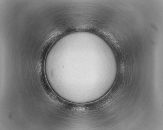 X0000115630687200912011441