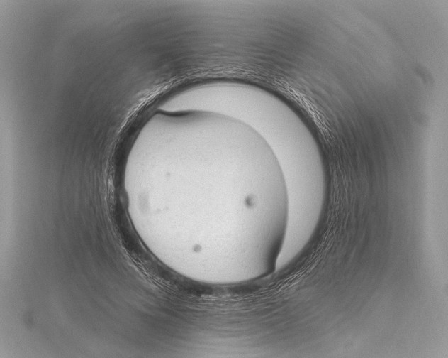 X0000115630688200912011441