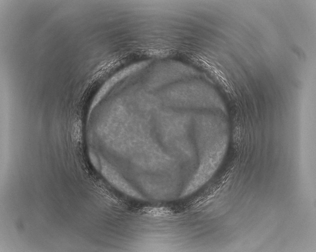 X0000115630689200912011441