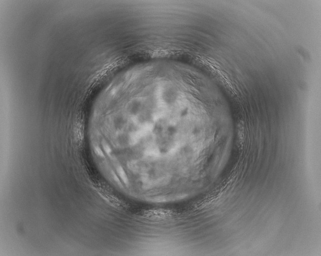 X0000115630691200912011441