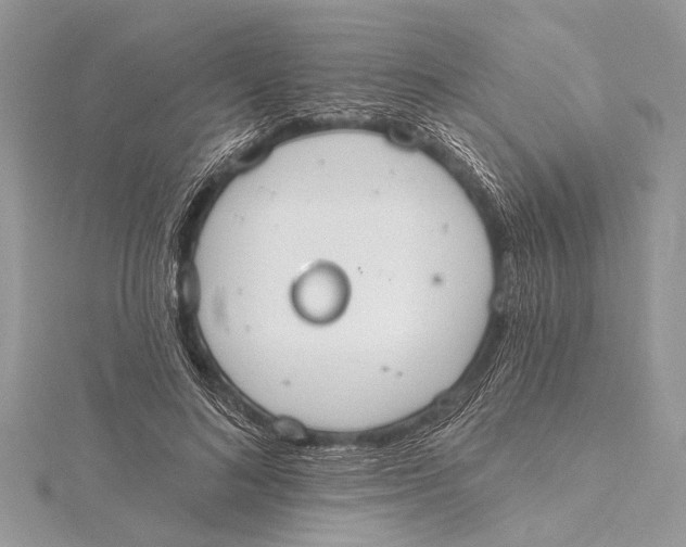 X0000115630692200912011441