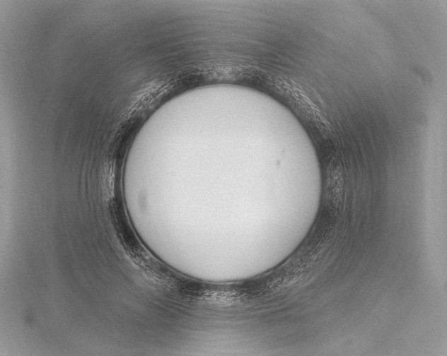 X0000115630694200912011441