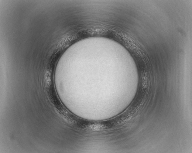 X0000115630695200912011441