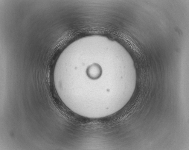 X0000115630696200912011441