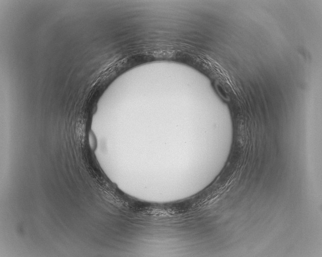 X0000115630697200912011441