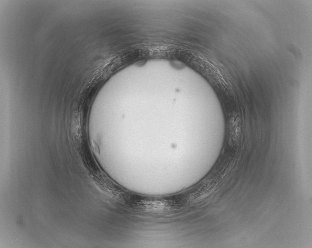 X0000115630698200912011441