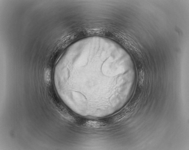 X0000115630699200912011441