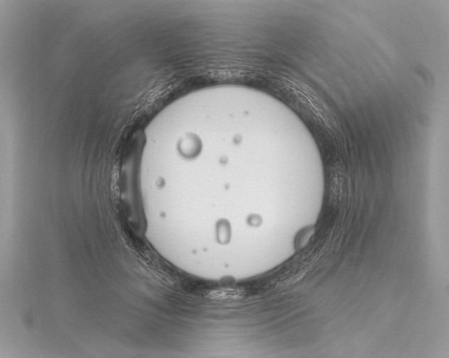 X0000115630700200912011441