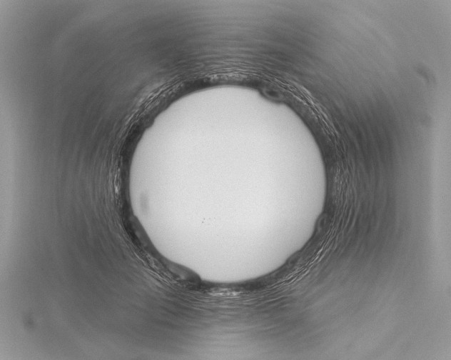 X0000115630701200912011441