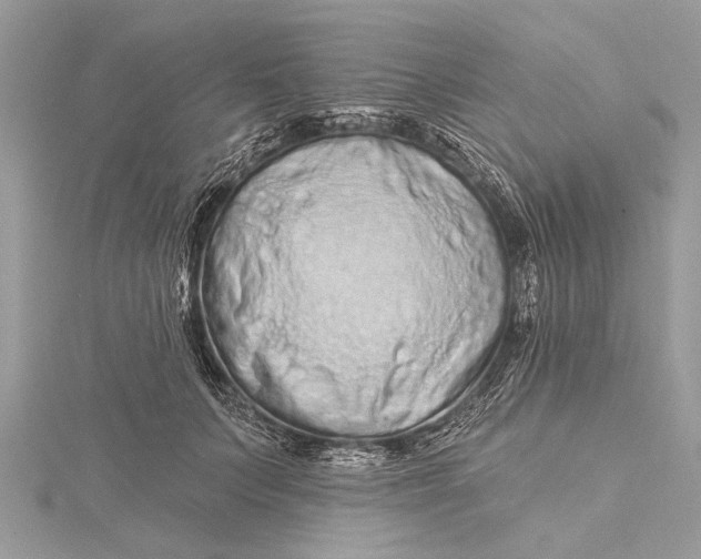 X0000115630703200912011441