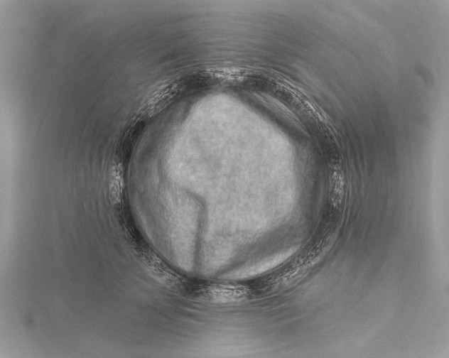 X0000115630707200912011441