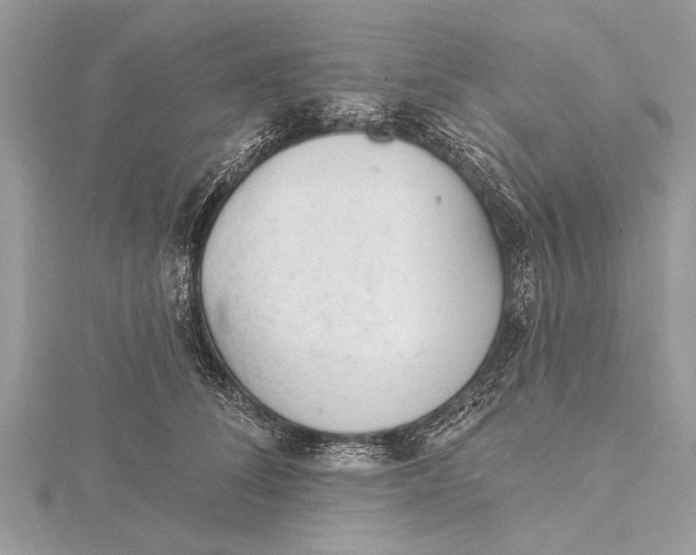 X0000115630708200912011441