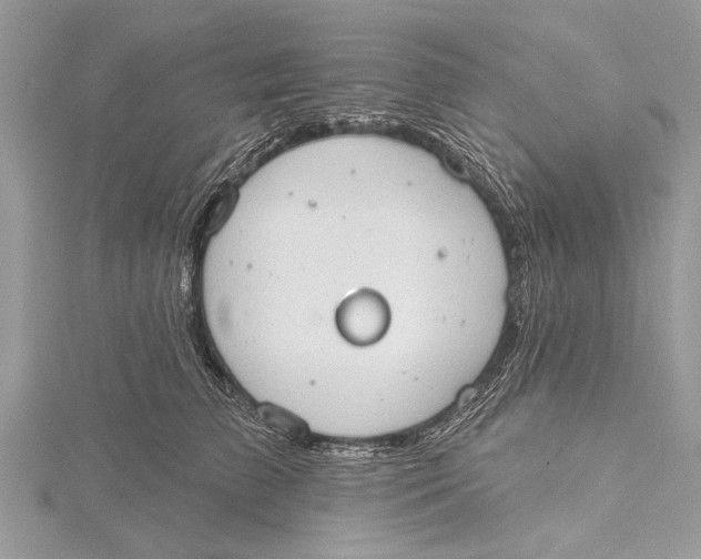 X0000115630709200912011441