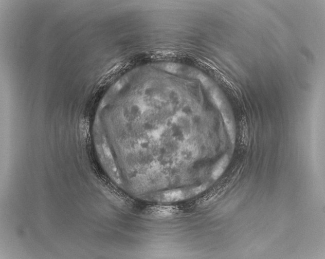 X0000115630711200912011440