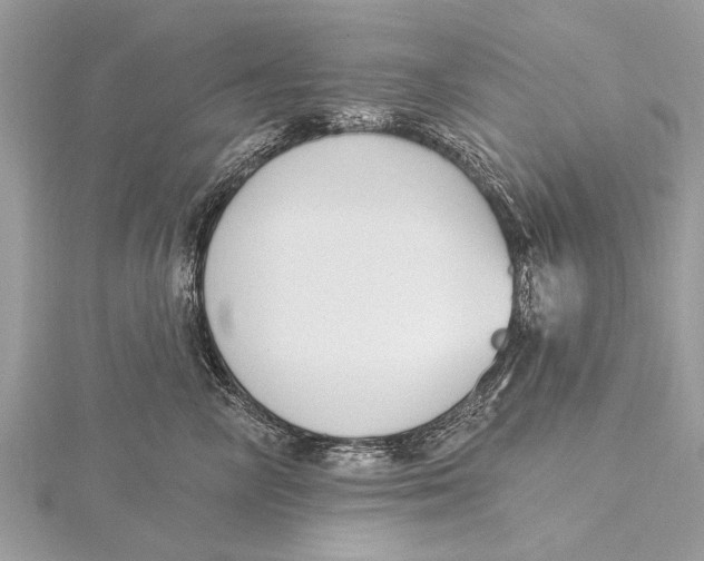 X0000115630714200912011440