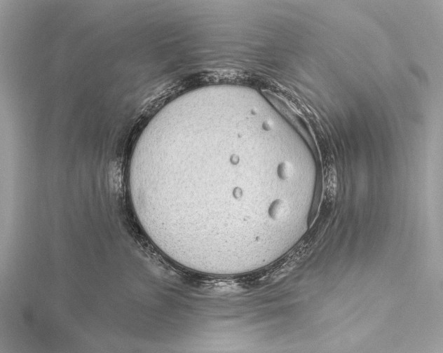 X0000115630715200912011440