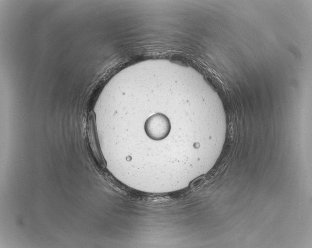 X0000115630716200912011440