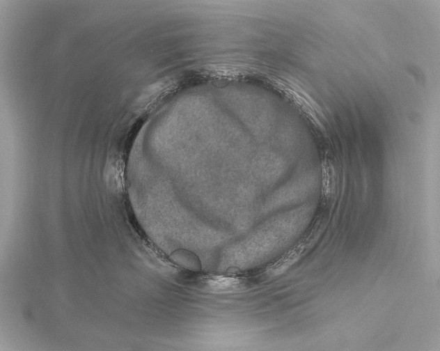 X0000115630718200912011440