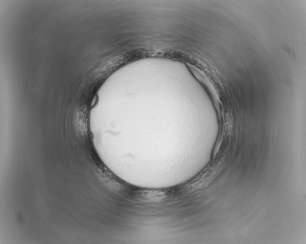 X0000115630719200912011440