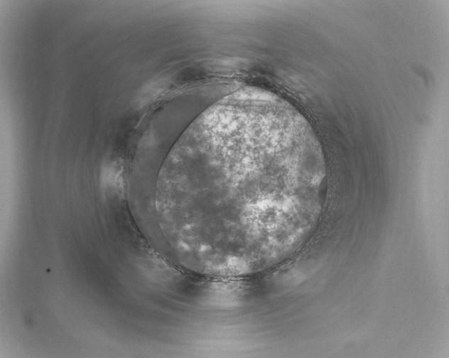 X0000115630720200912011440