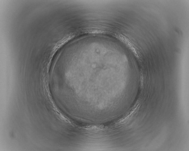 X0000115630721200912011440