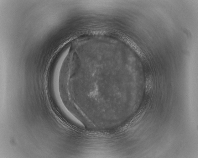 X0000115630722200912011440