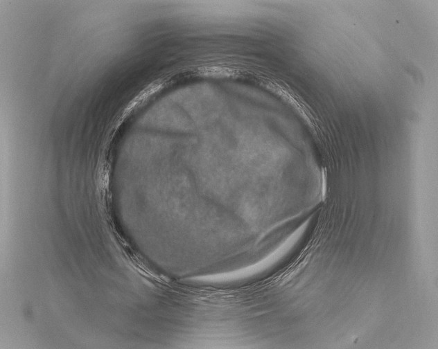 X0000115630723200912011440