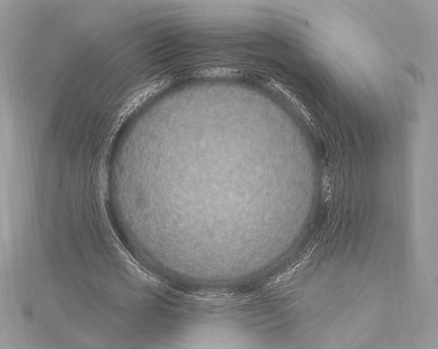 X0000115630725200912011440