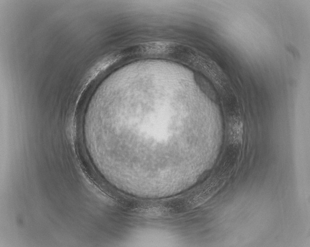 X0000115630726200912011440