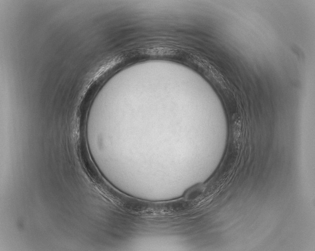 X0000115630727200912011440