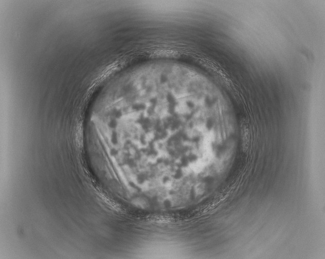 X0000115630729200912011440