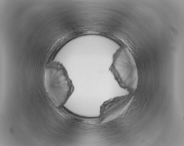 X0000115630733200912011440