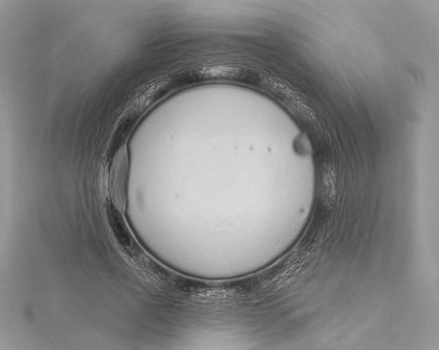 X0000115630734200912011440