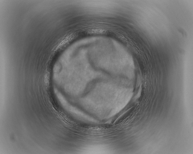 X0000115630735200912011440