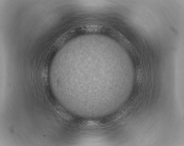 X0000115630737200912011440