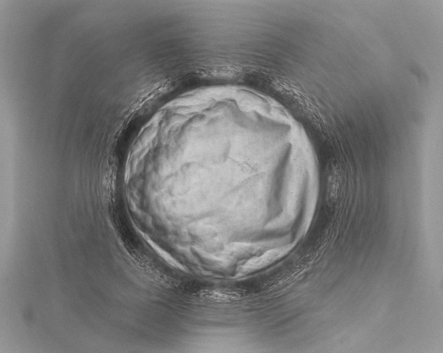 X0000115630739200912011440