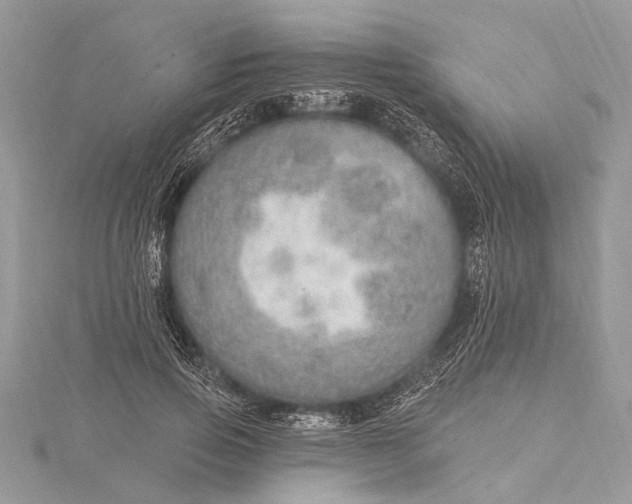 X0000115630741200912011440